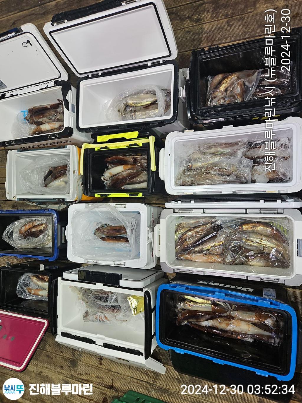 F260635452.jpg