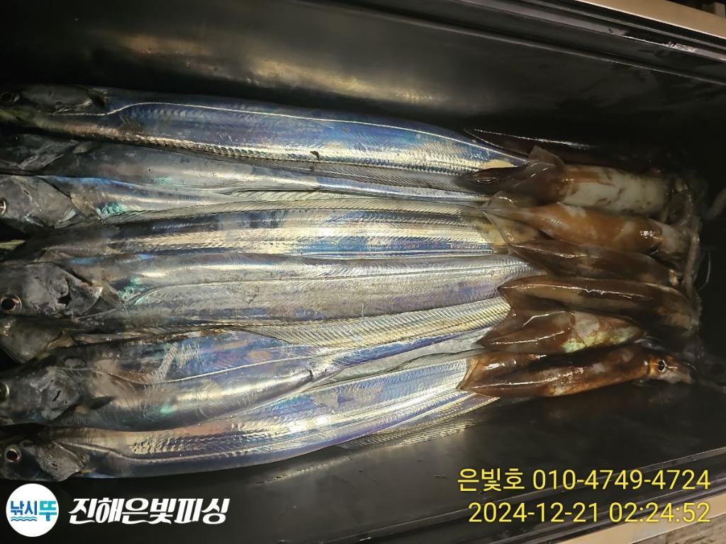 F2606611XN.jpg