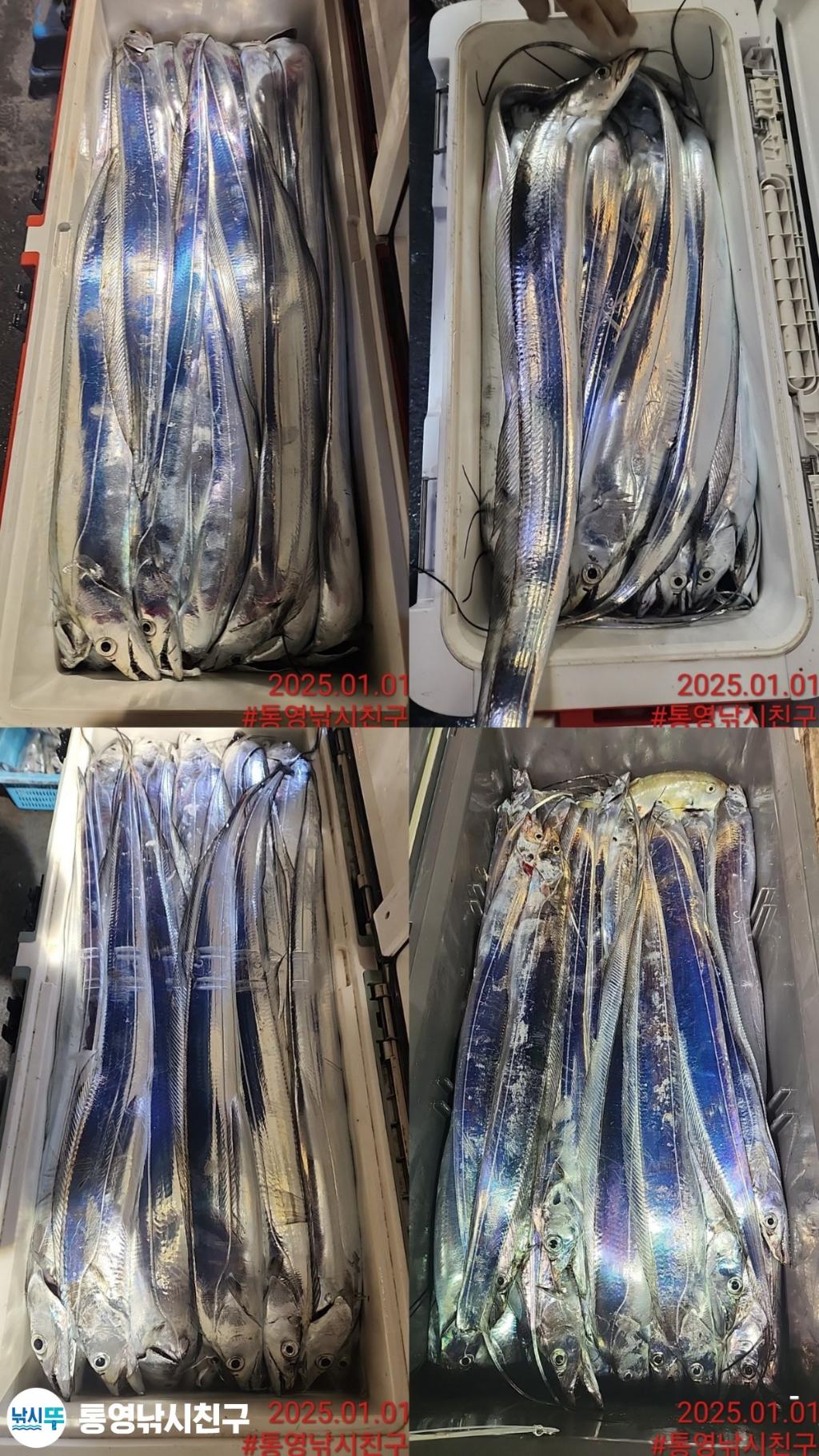 F2606871Q1.jpg