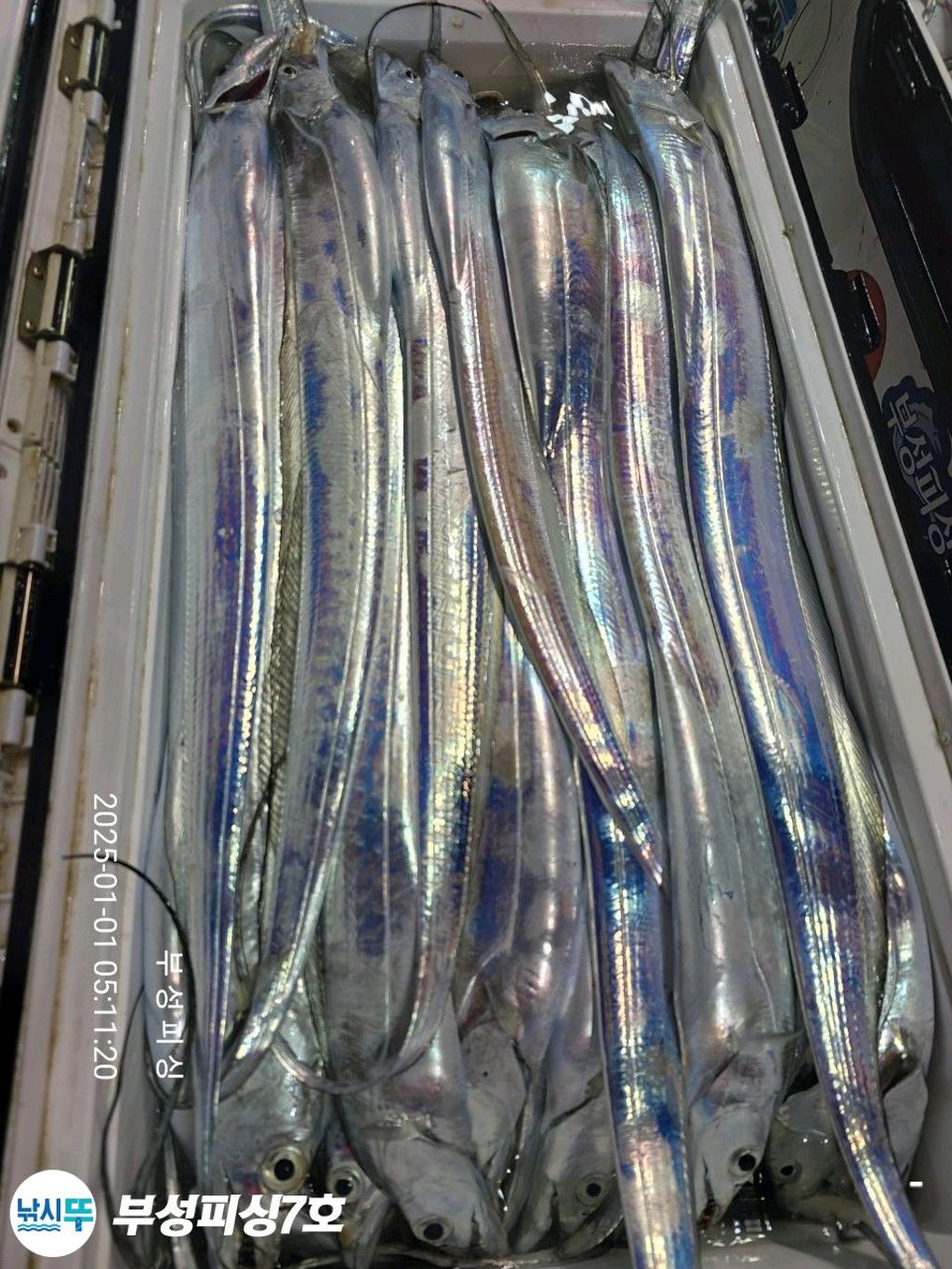 F260688658.jpg