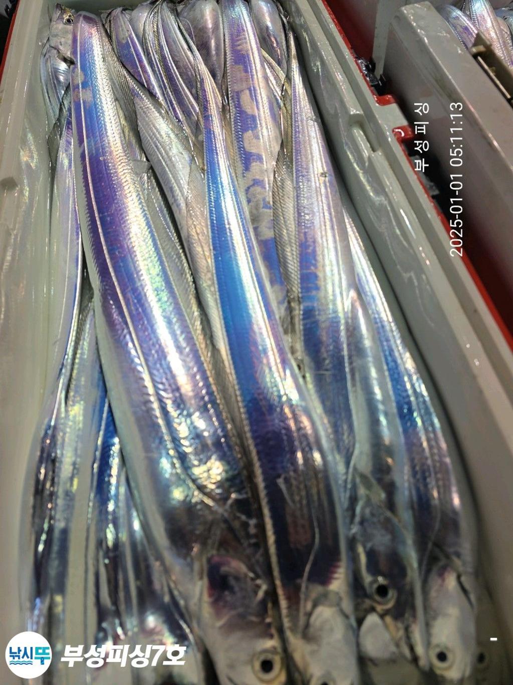 F2606888YY.jpg