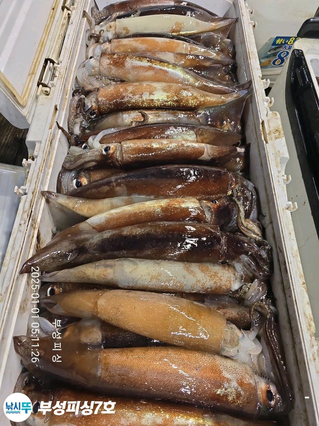 F2606890GX.jpg