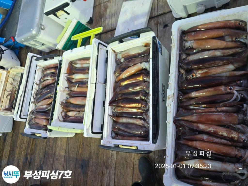 F260689313.jpg
