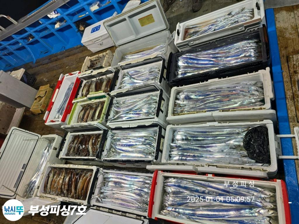 F260690114.jpg