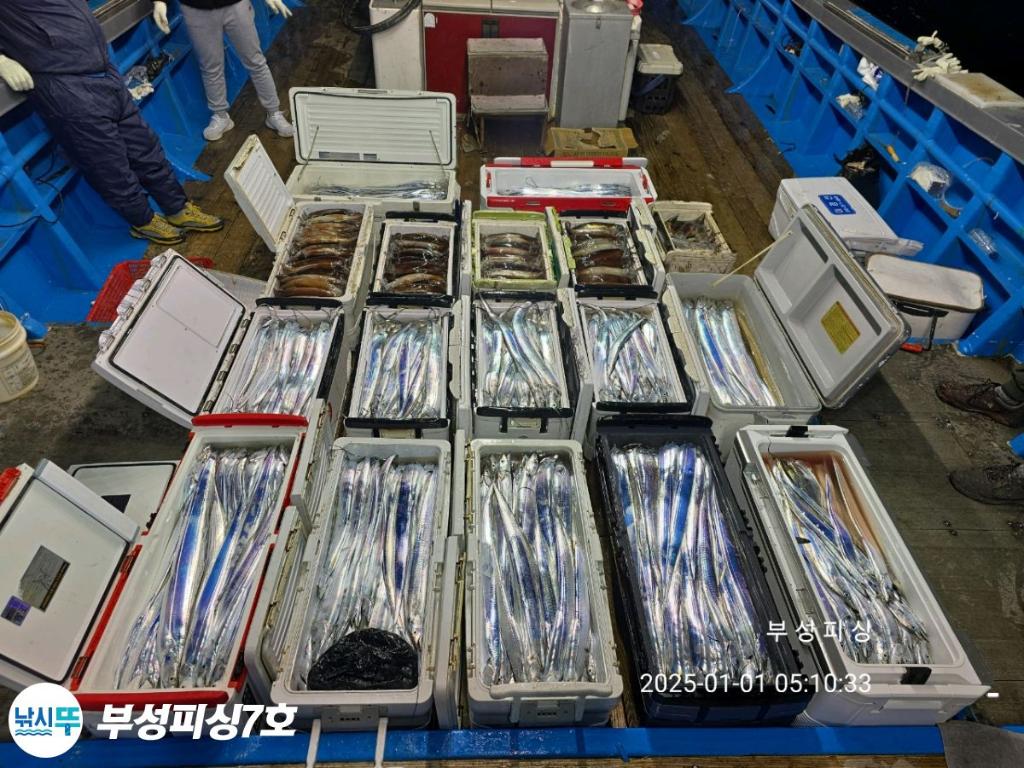 F260690242.jpg
