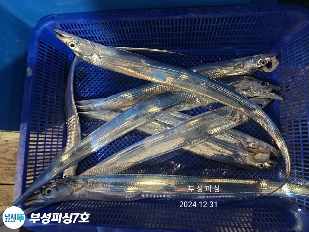 F2606904HN.jpg