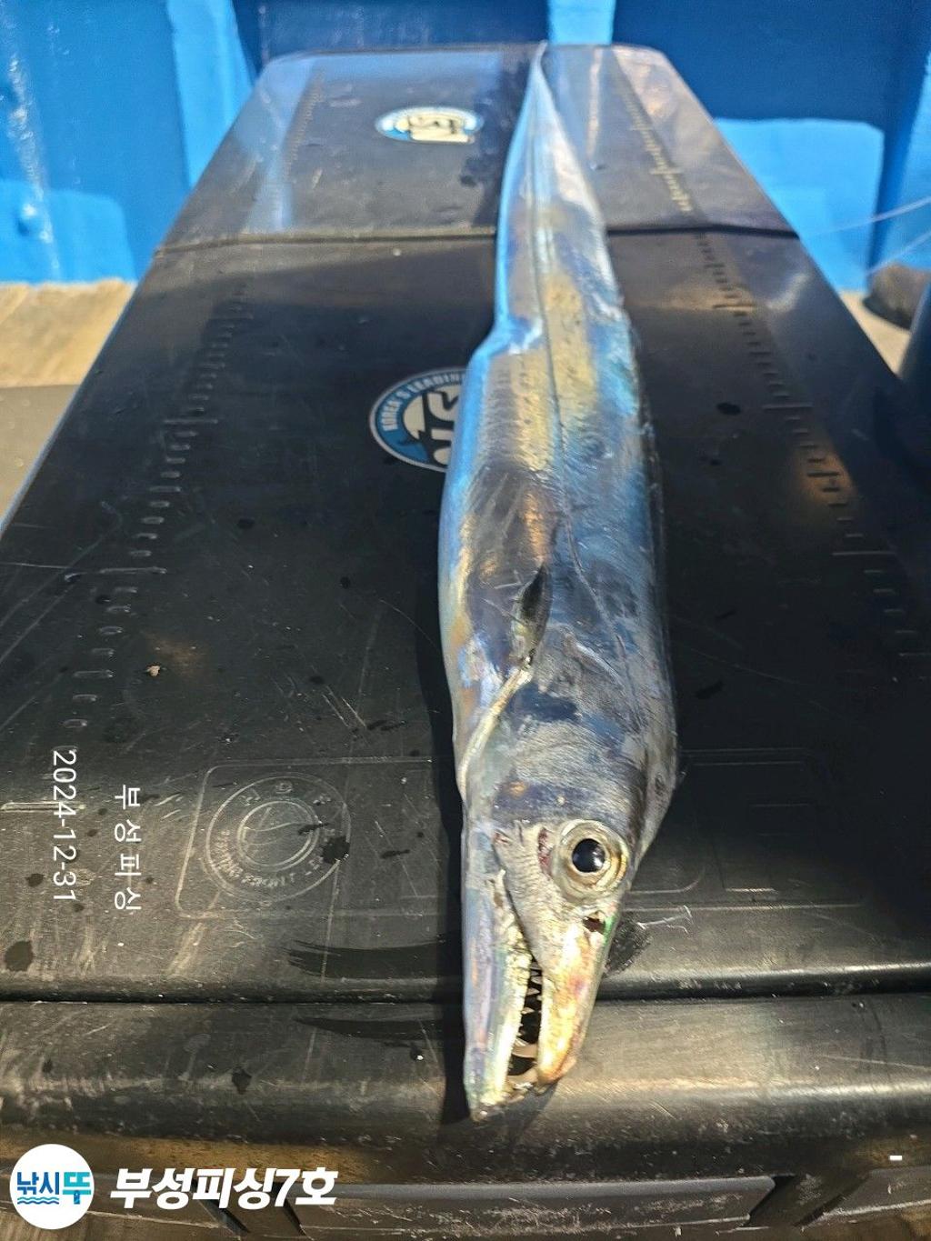 F26069069F.jpg