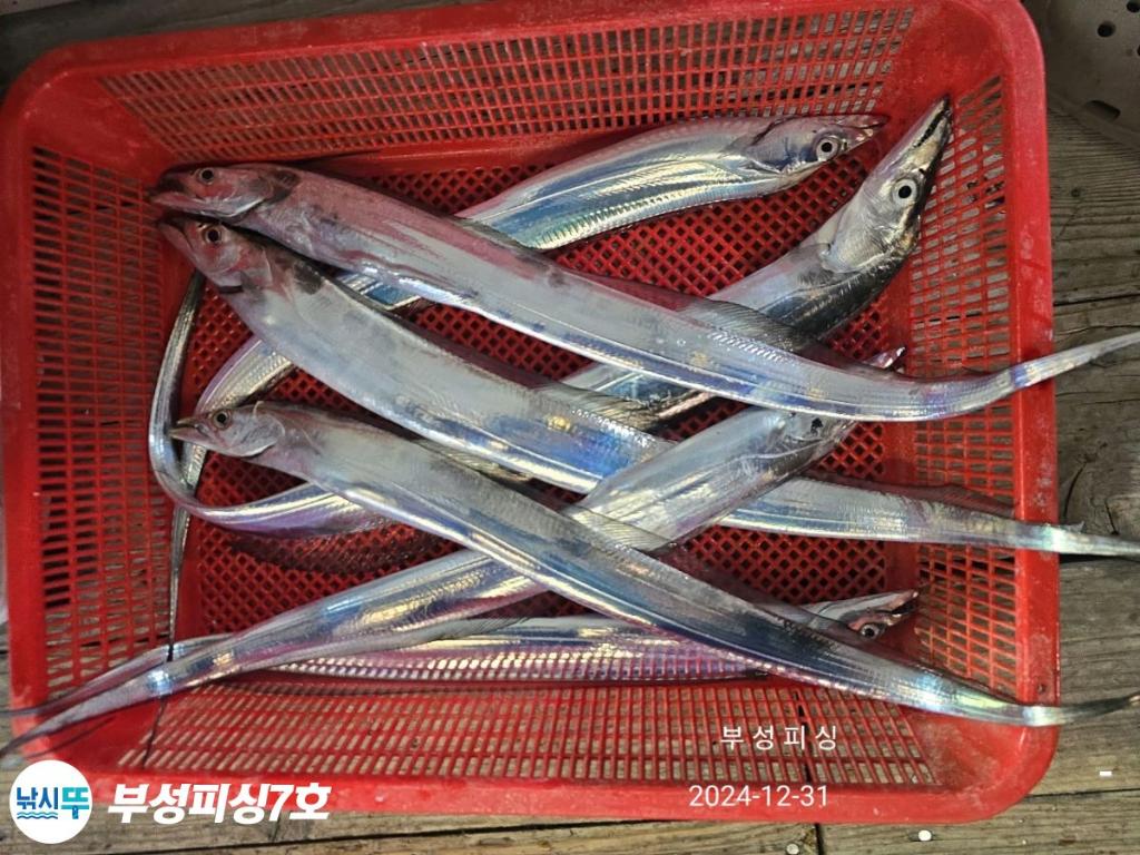 F2606908YG.jpg