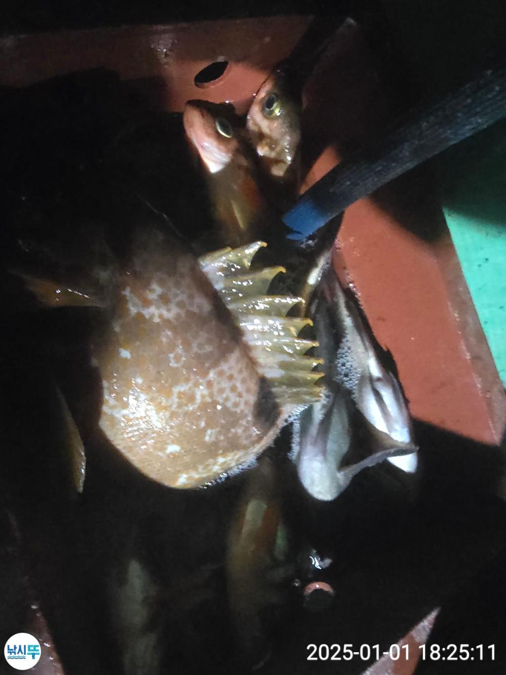 F2607769J3.jpg