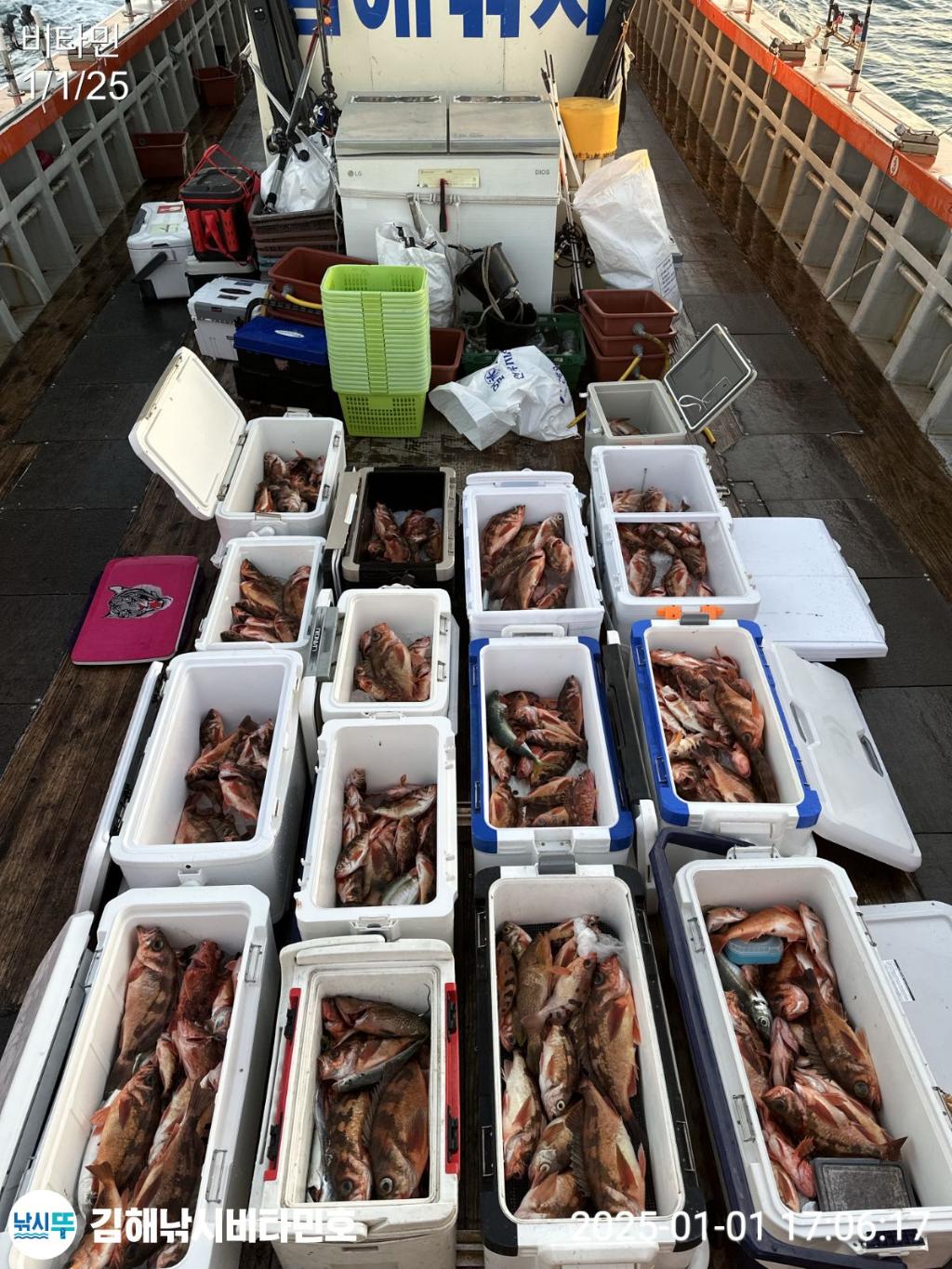 F2608153NF.jpg