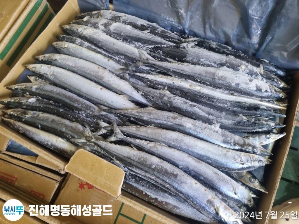 F2608249KG.jpg