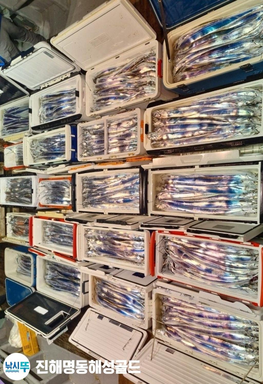 F2608254HA.jpg
