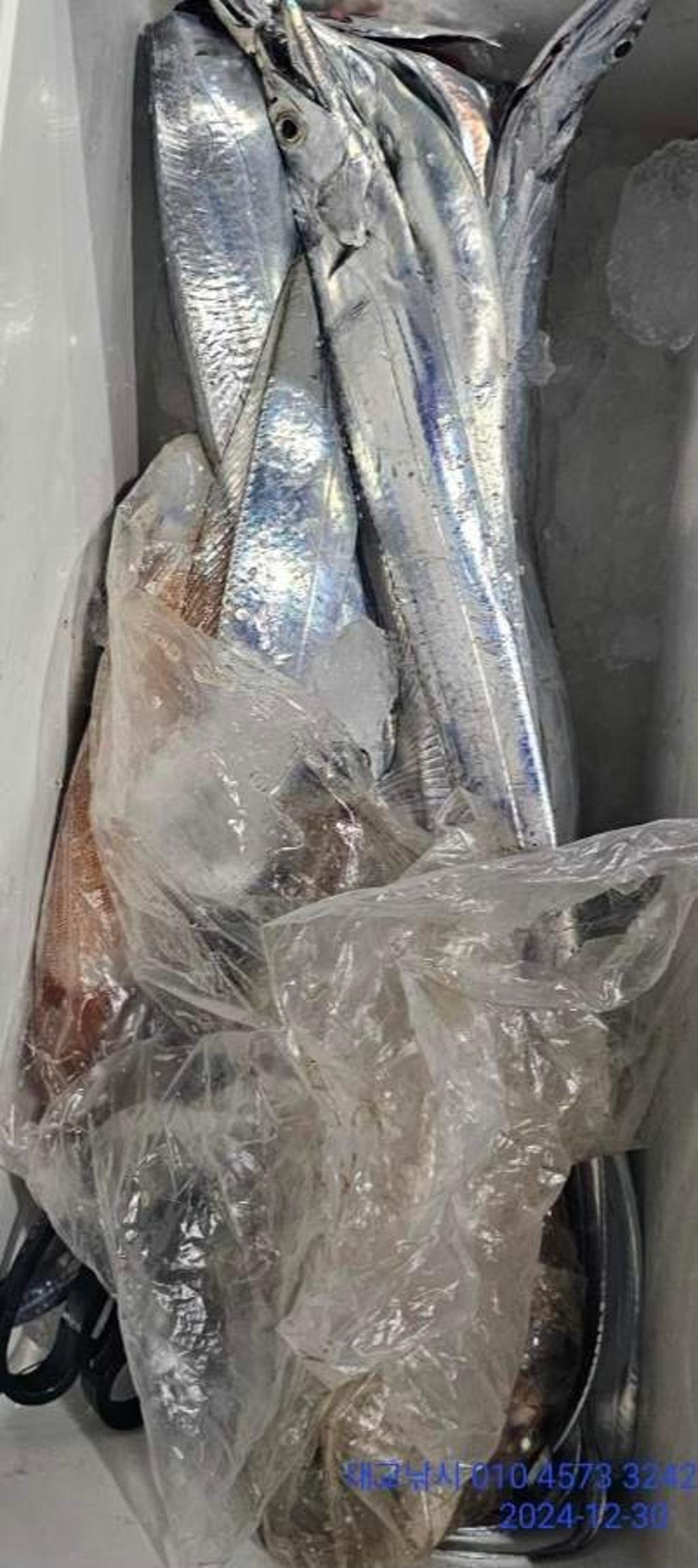 기타 (직접입력), 삼포대교낚시, 낚시뚜