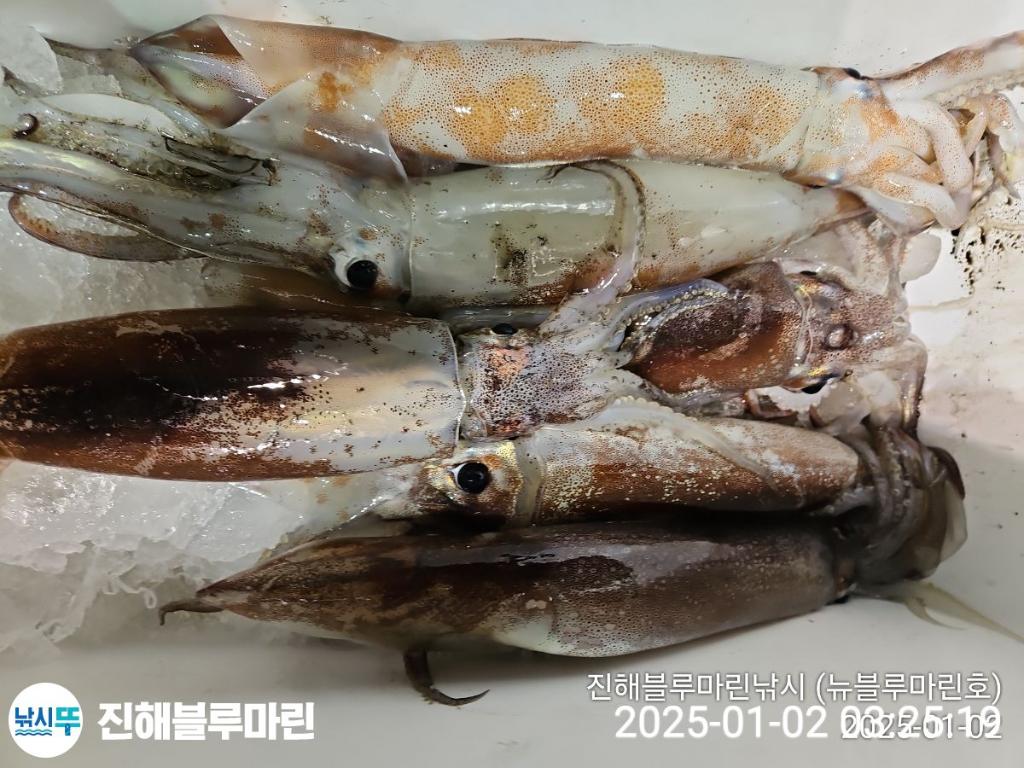 F2608352BE.jpg