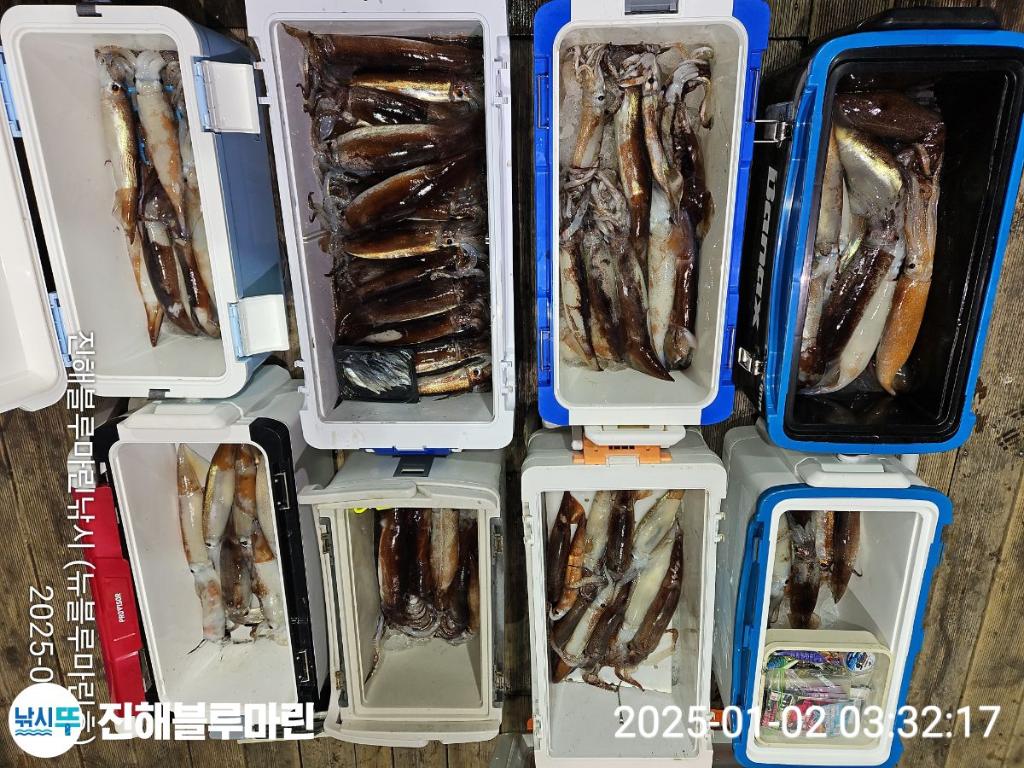 F2608371OJ.jpg