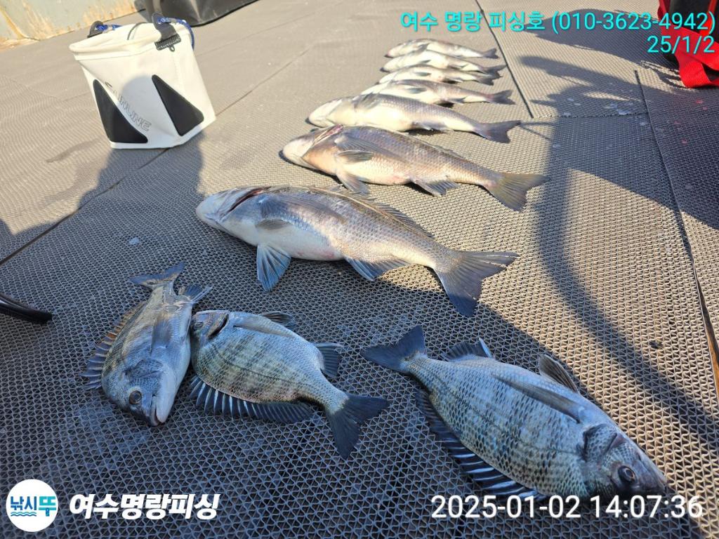 F2608695MR.jpg