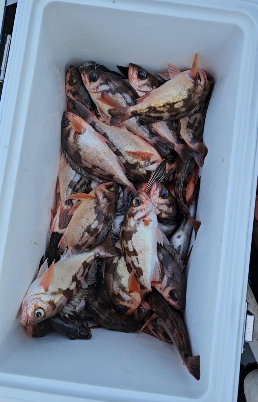 F260878175.jpg