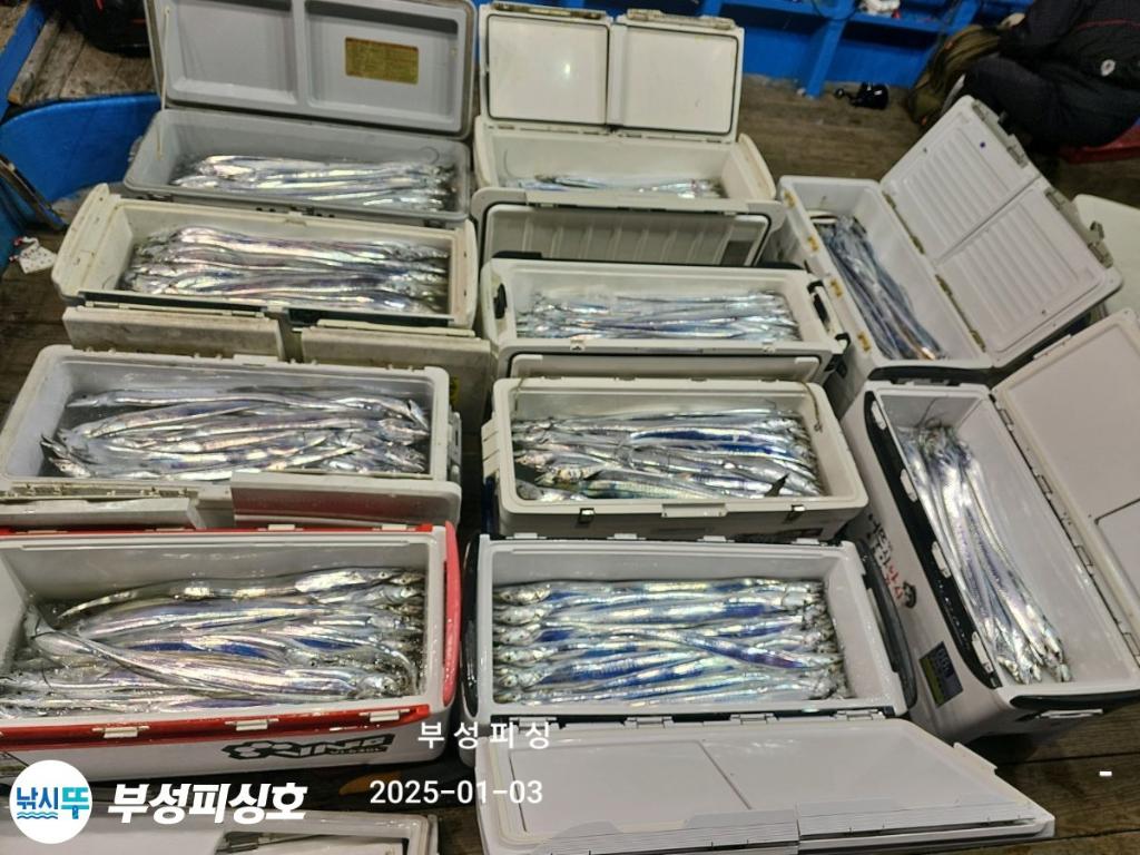 F2608957MH.jpg