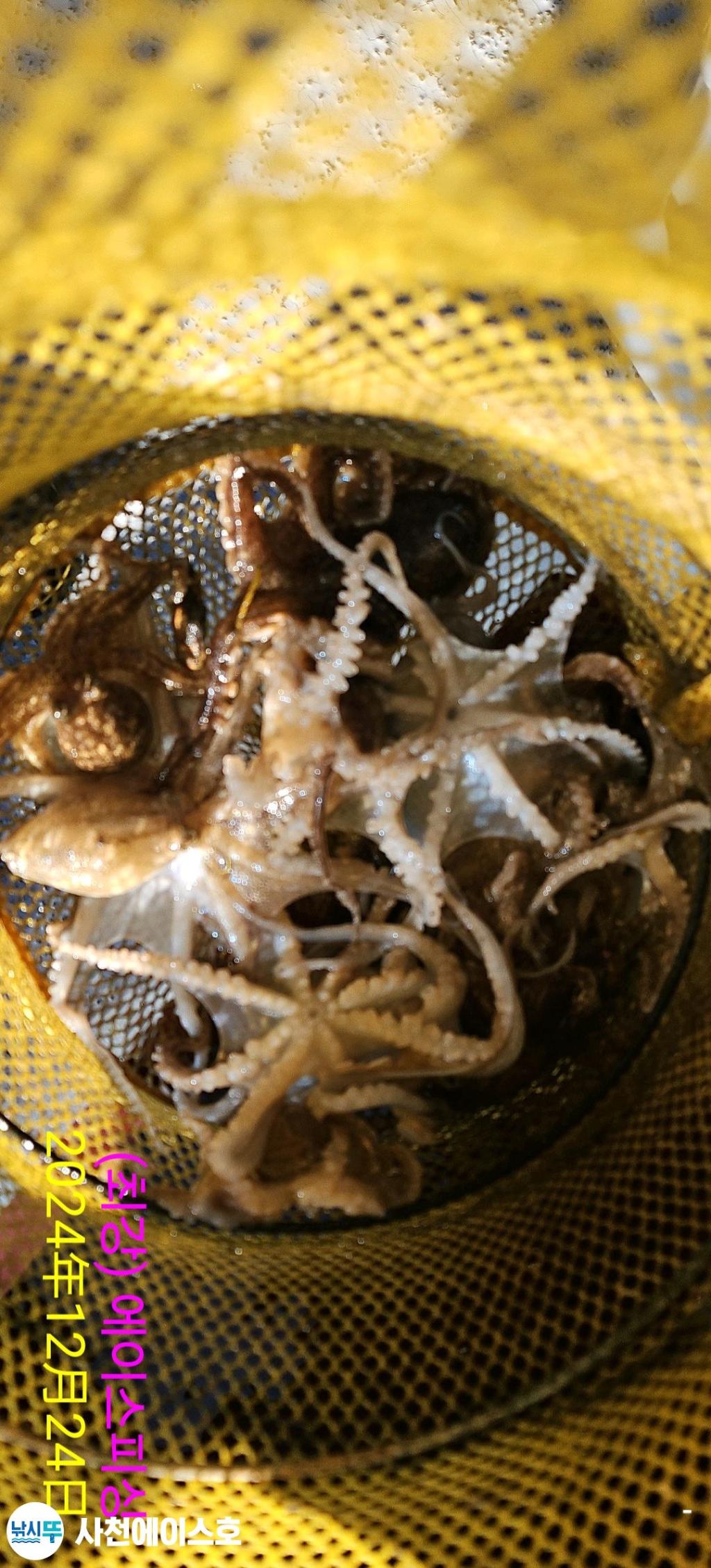 F260912113.jpg