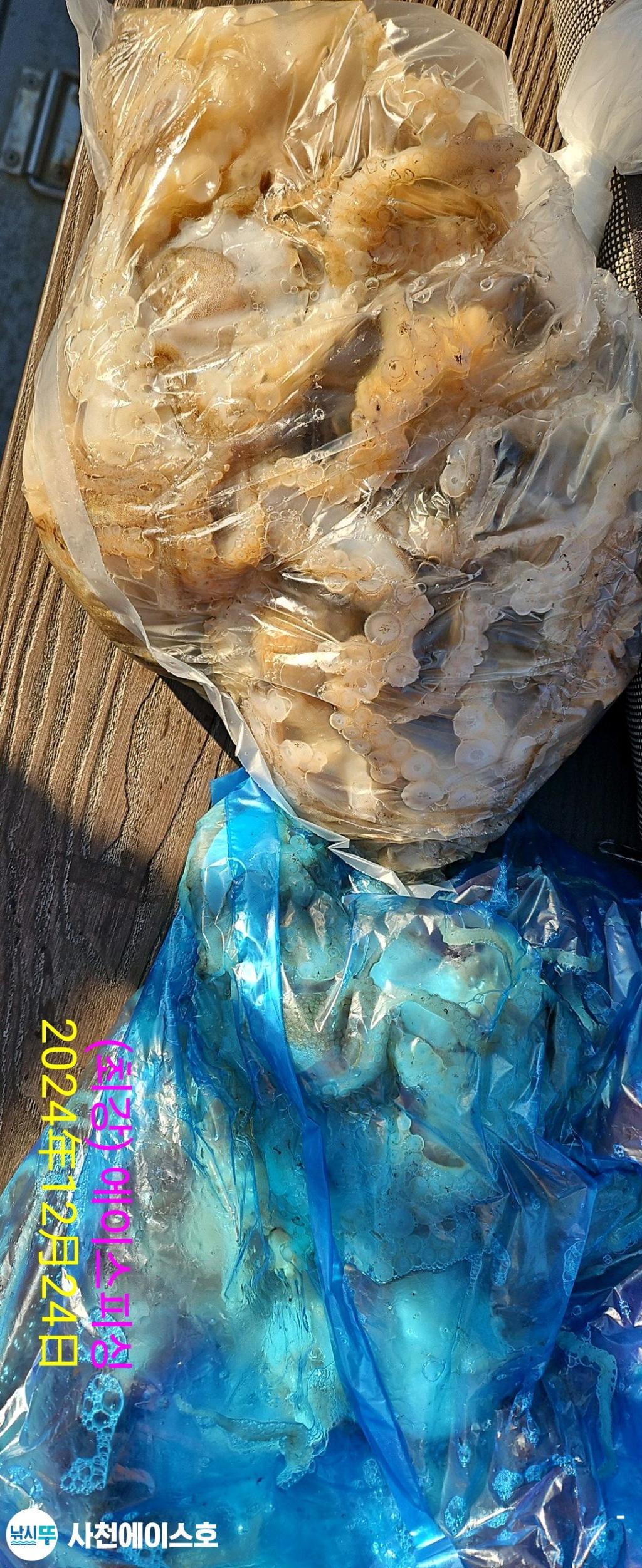 F2609126EW.jpg