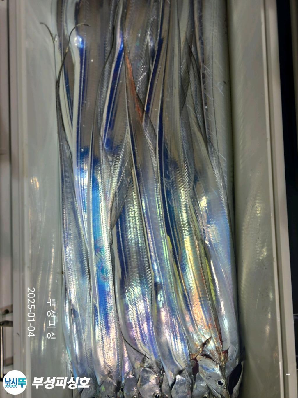 F2609378G7.jpg