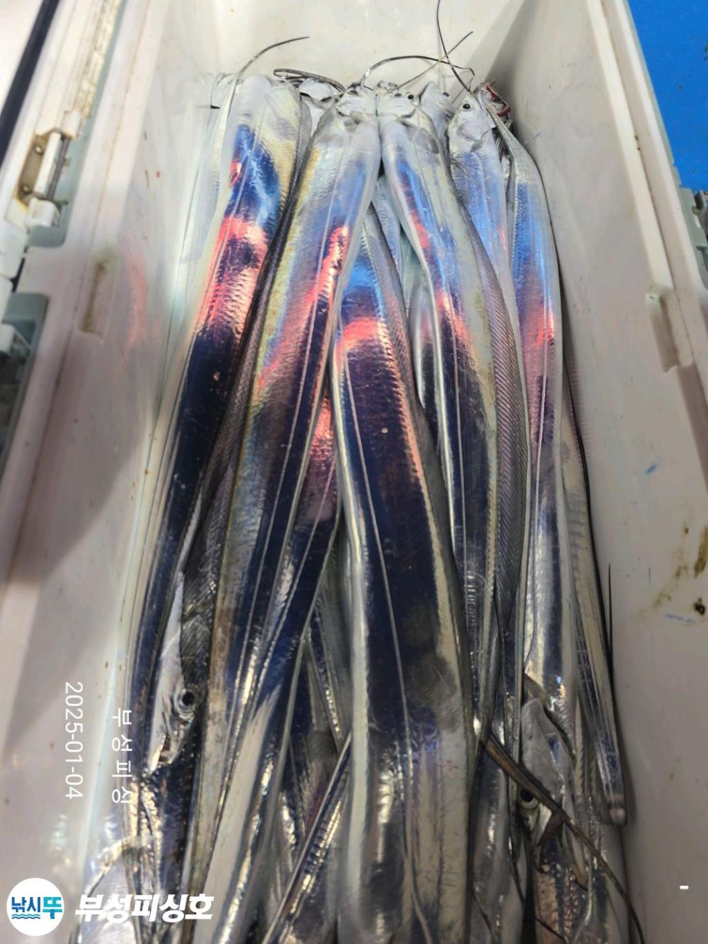 F26093792W.jpg