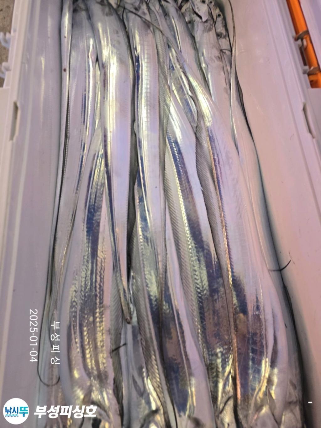 F26093804S.jpg