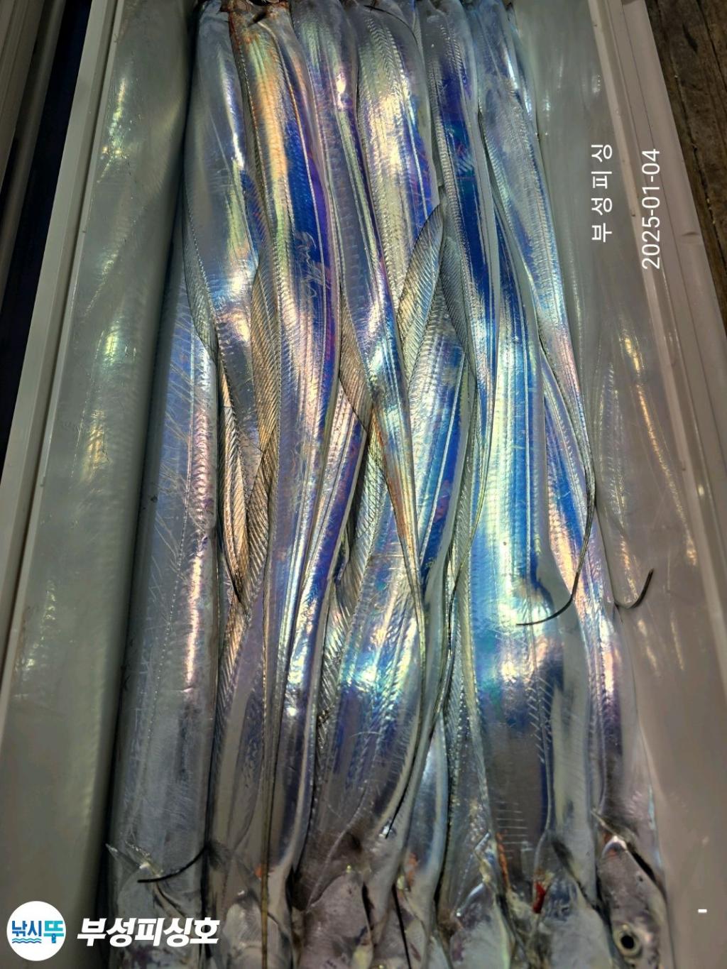 F2609383M1.jpg