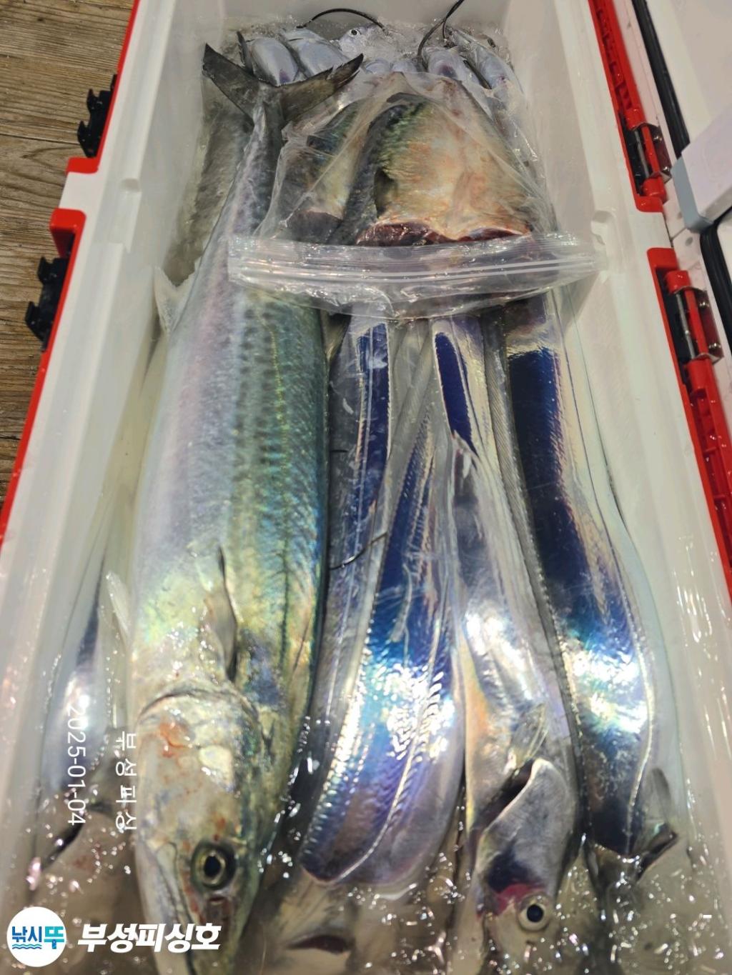 F26093850W.jpg