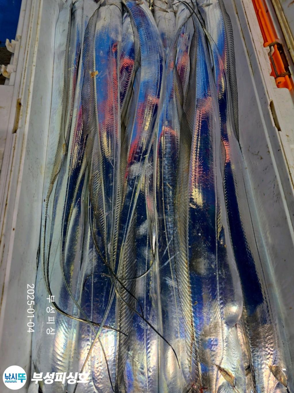 F2609386FO.jpg