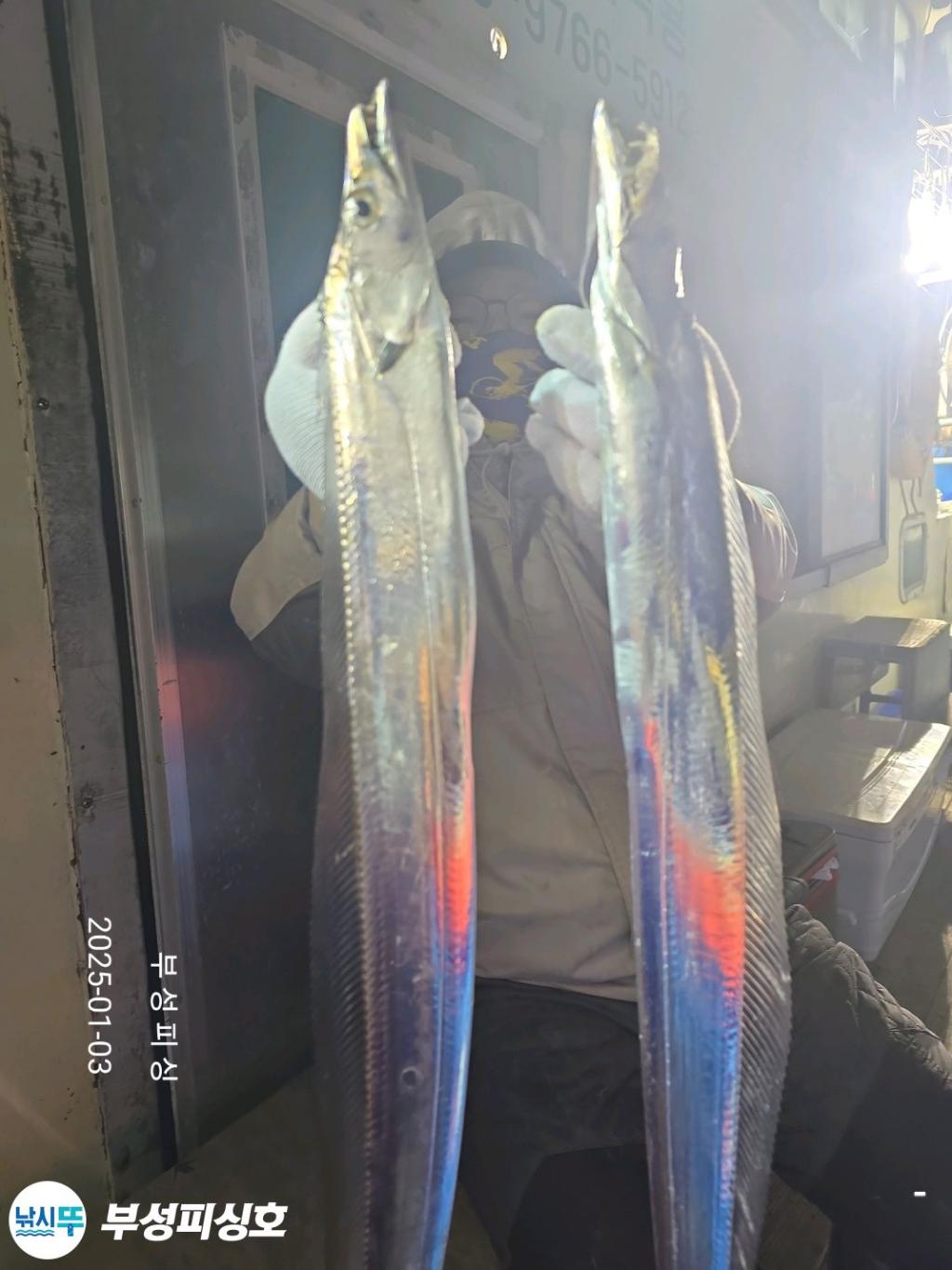 F2609393IU.jpg