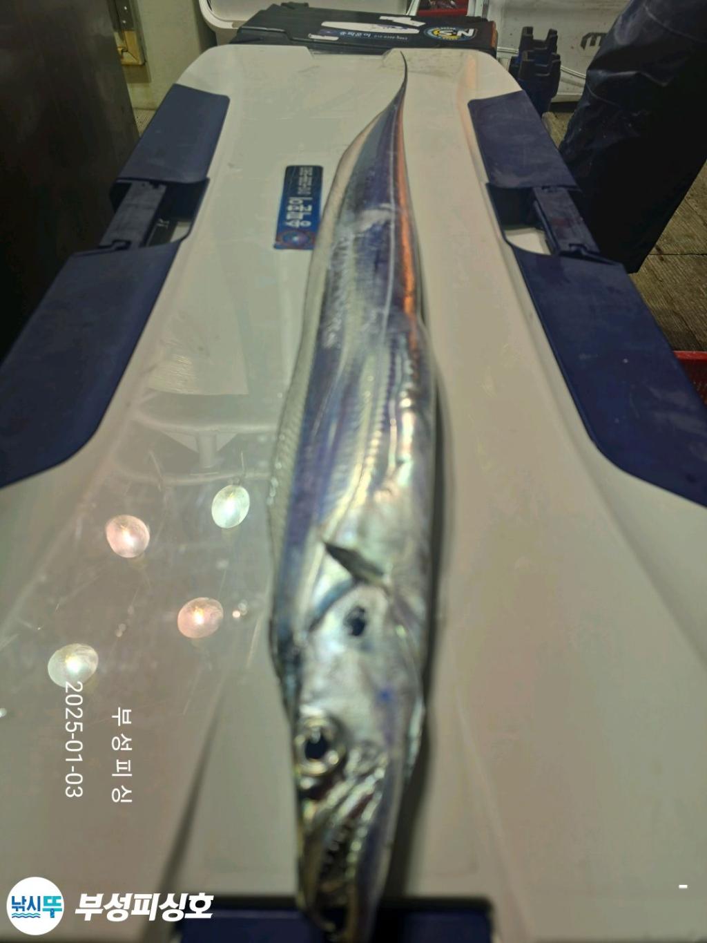 F2609395AI.jpg