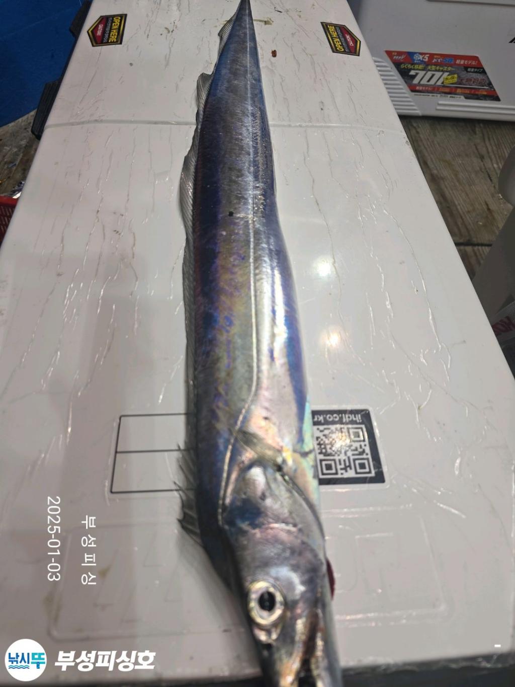 F26093960Z.jpg