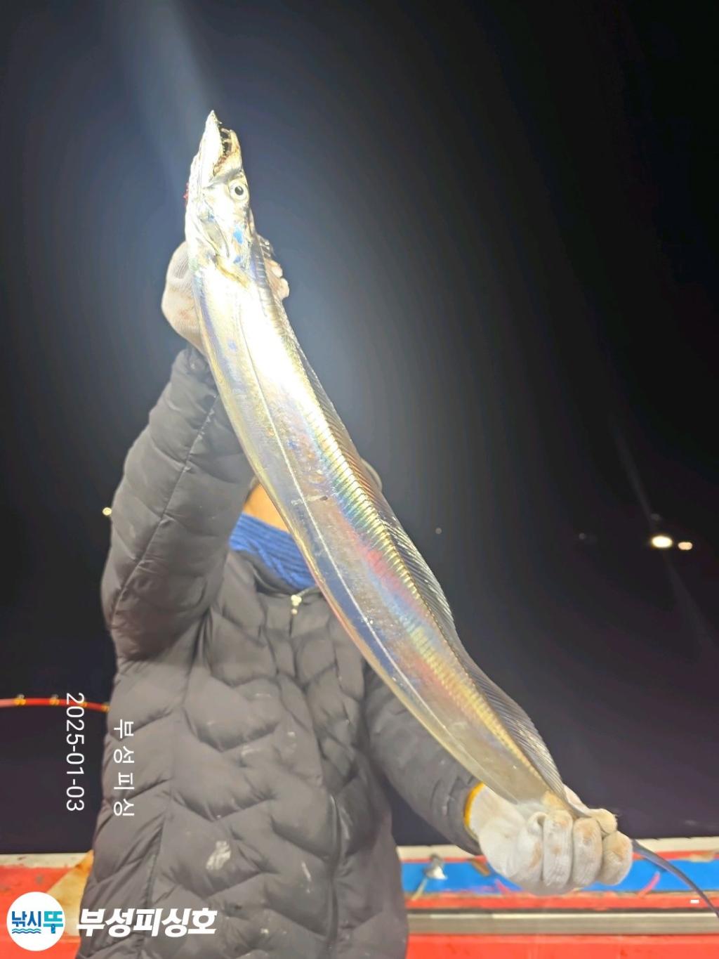 F2609402VB.jpg