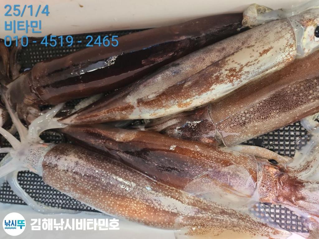 F2609413OL.jpg