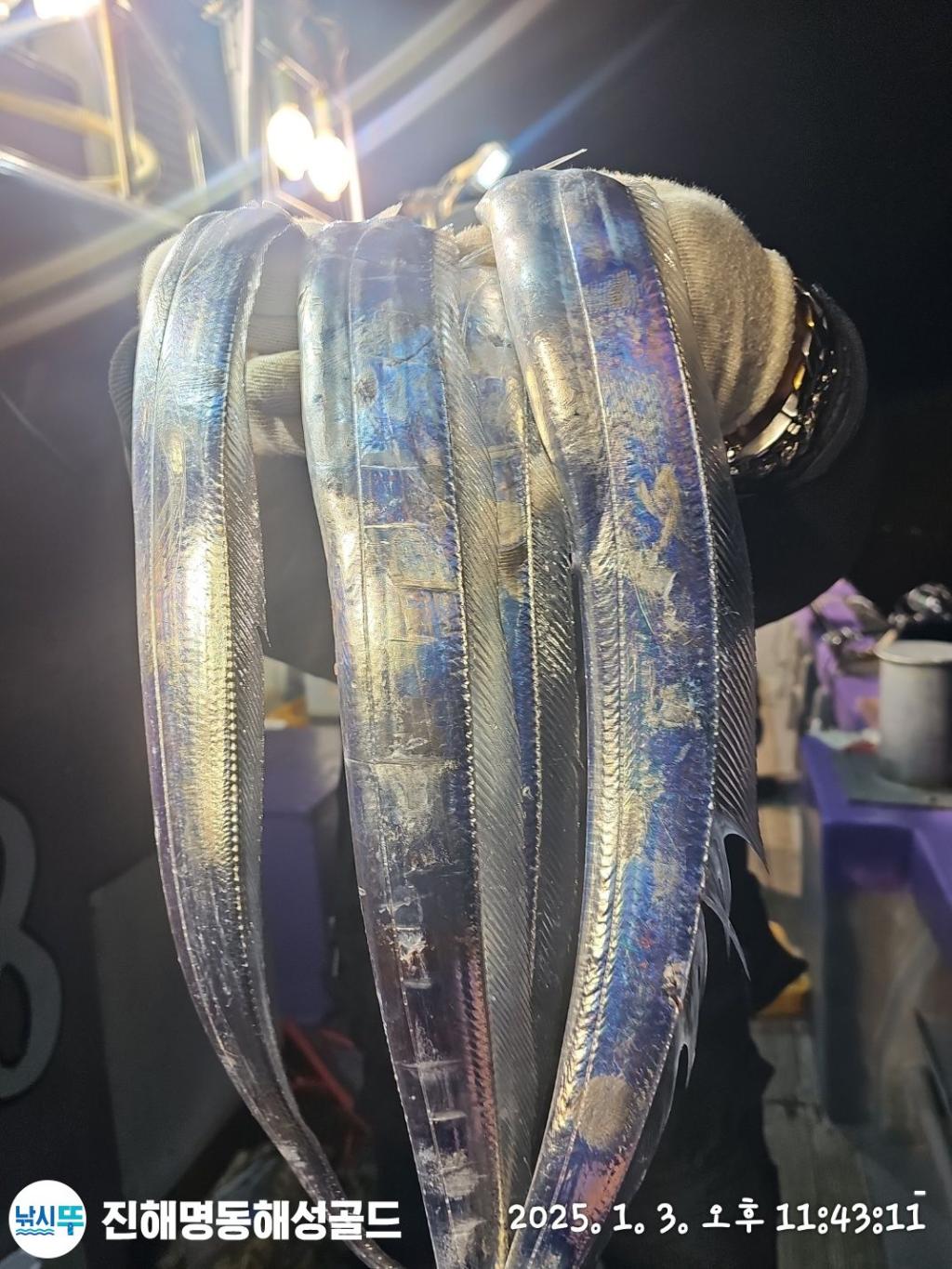 F2609611JD.jpg