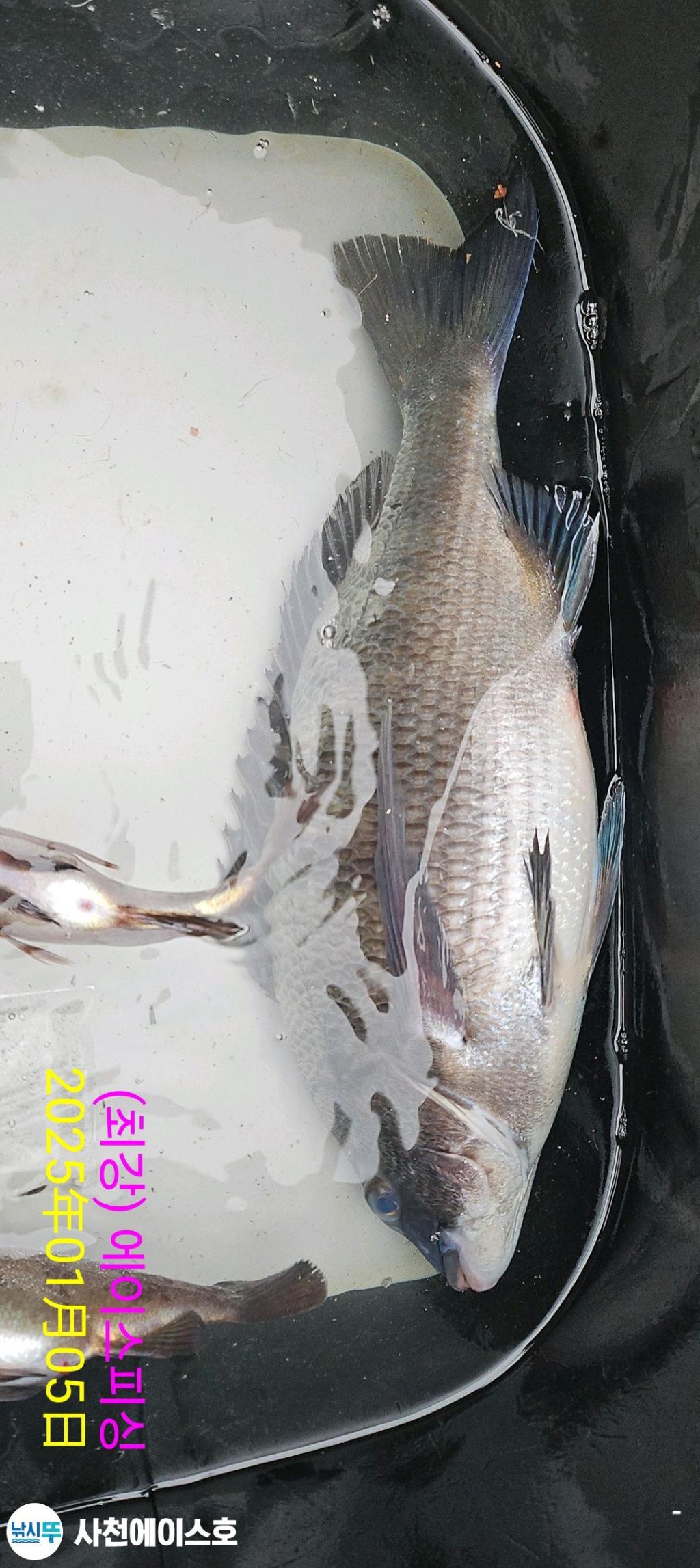 F2610718AH.jpg