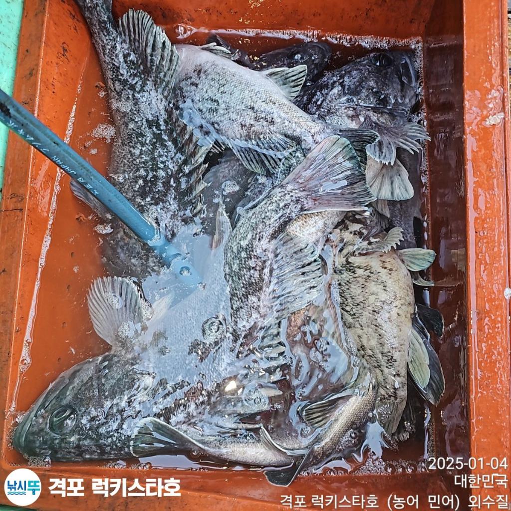 F2610797SF.jpg