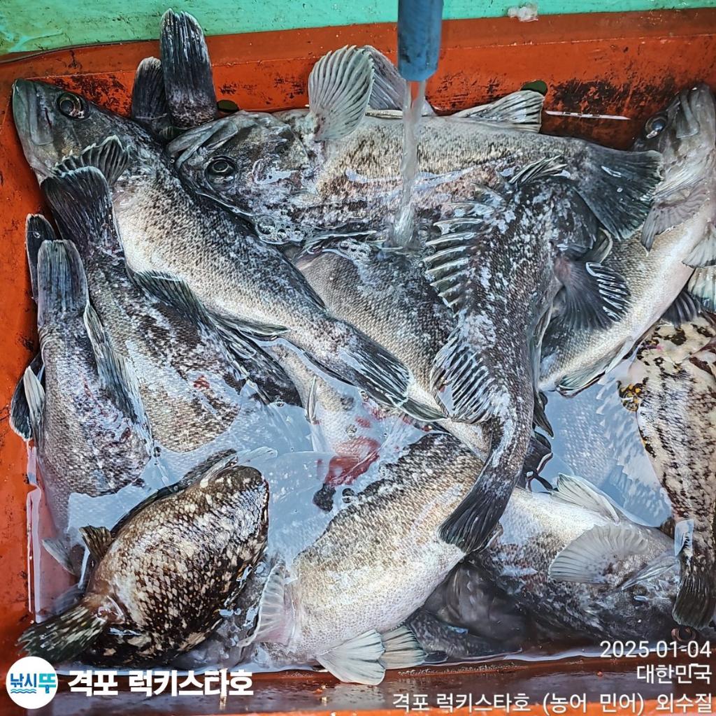 F2610798IA.jpg
