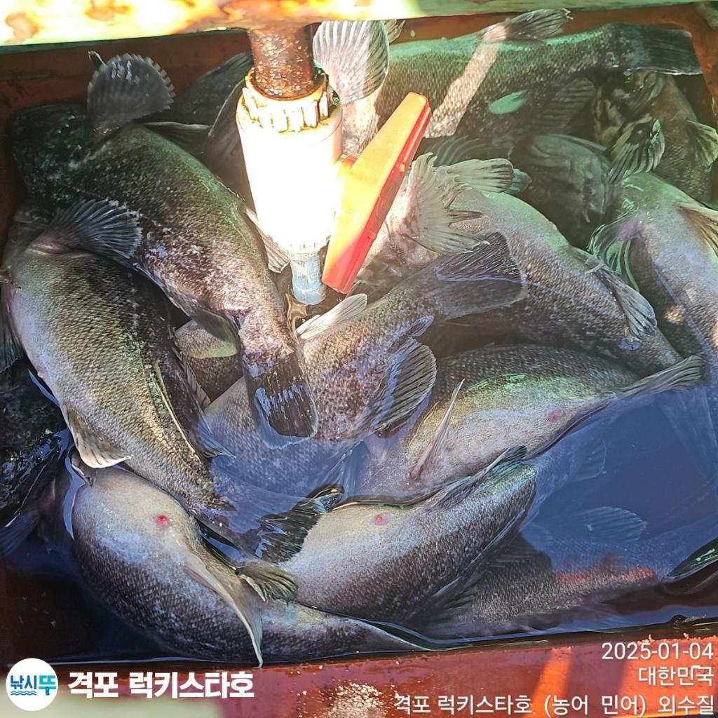 F26108020P.jpg