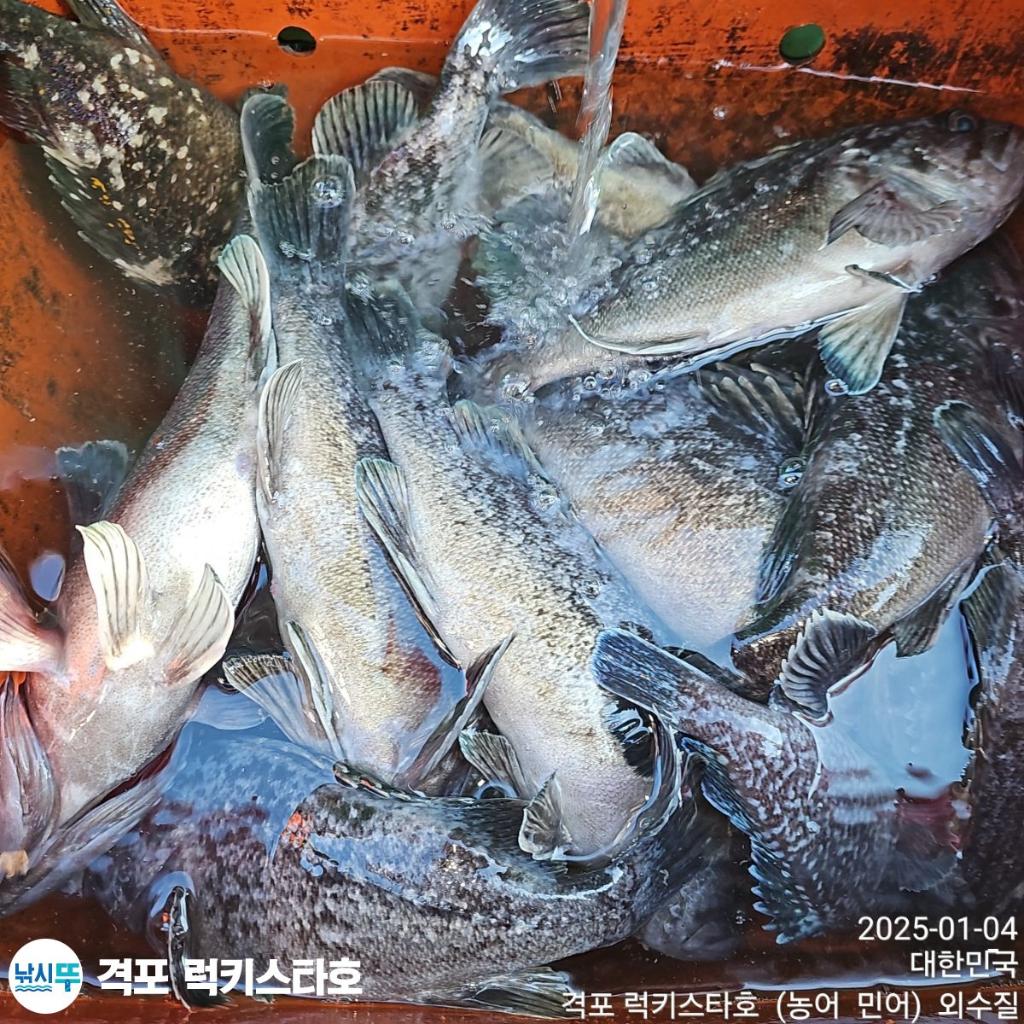 F26108090W.jpg