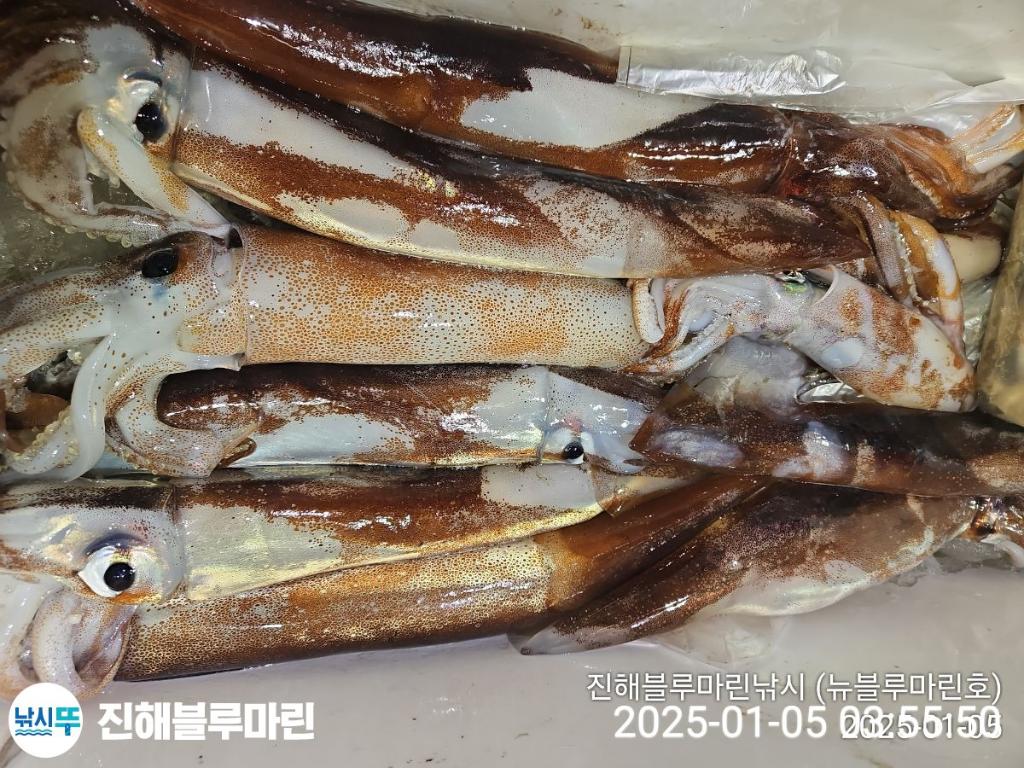 F2611024LW.jpg