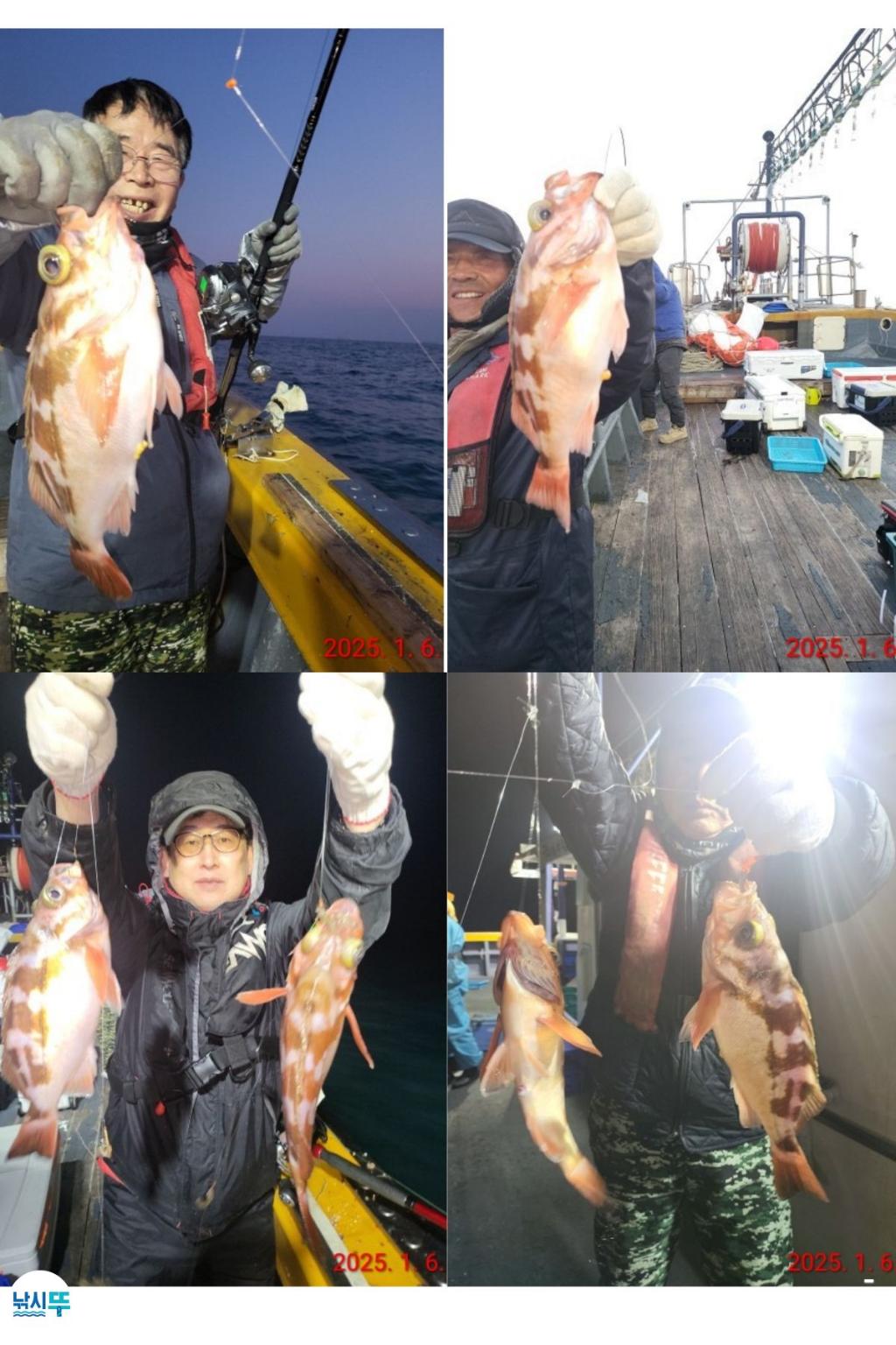 F2611356YD.jpg