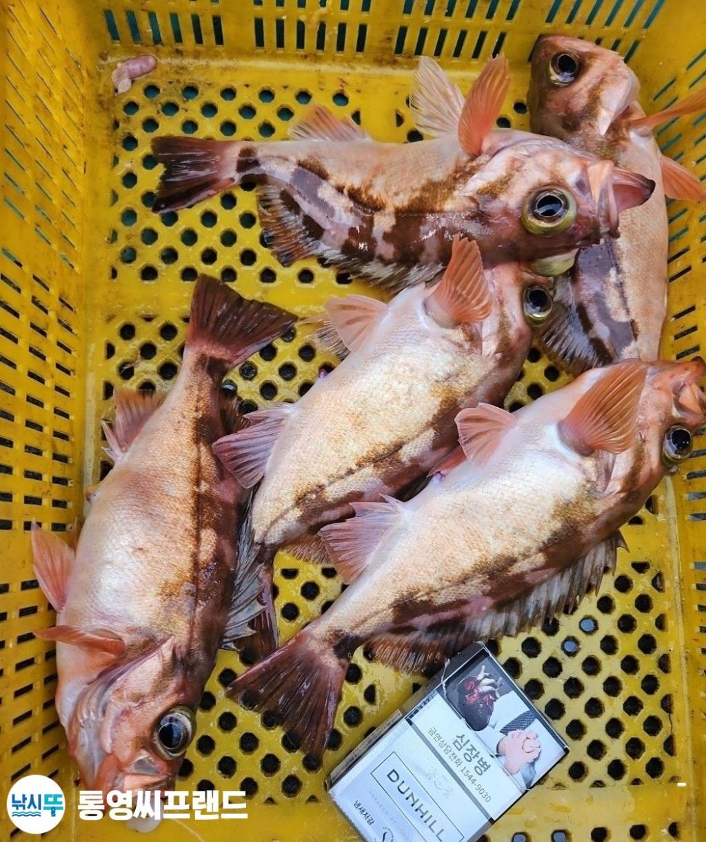 F26125009Y.jpg