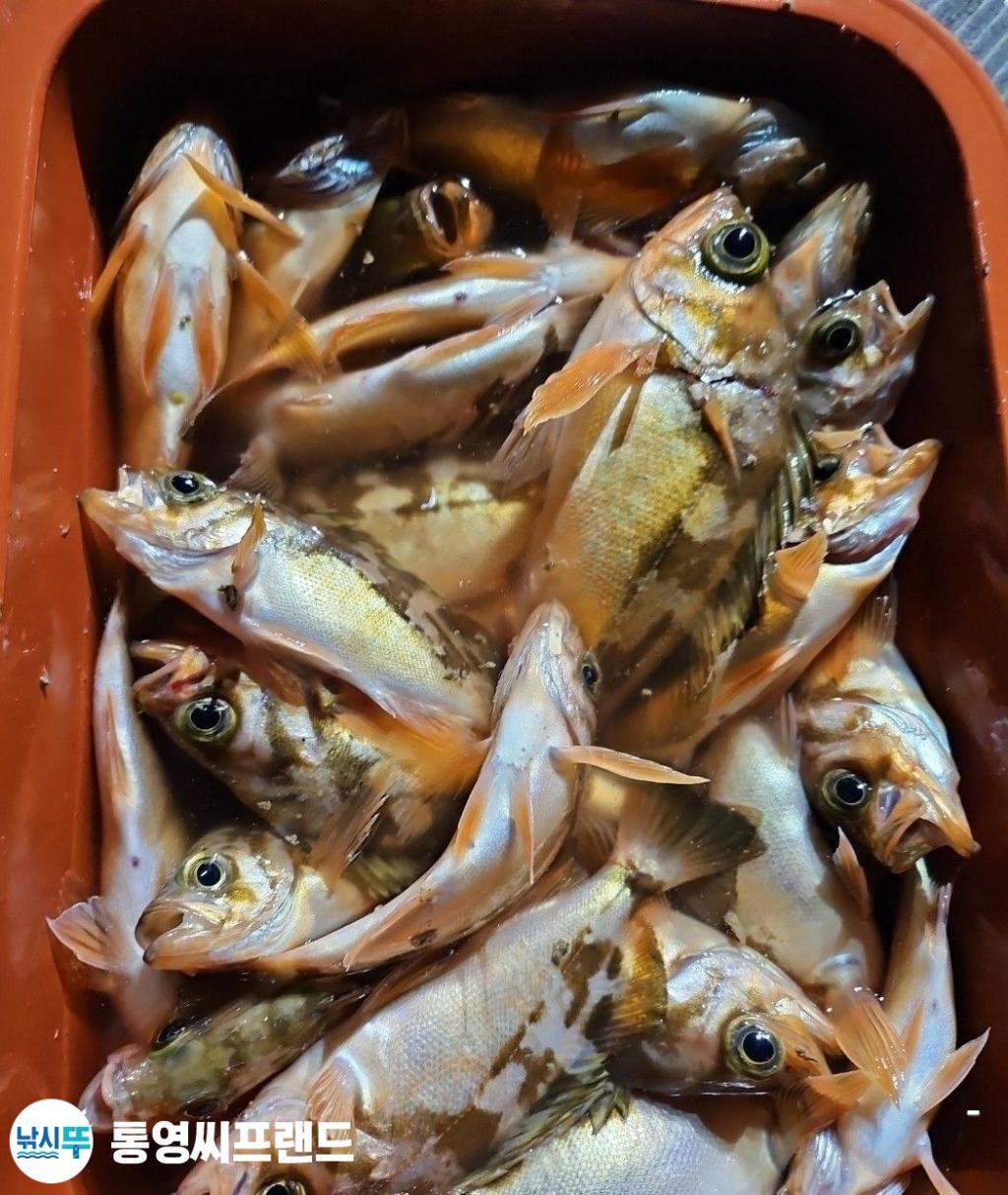F26125045O.jpg