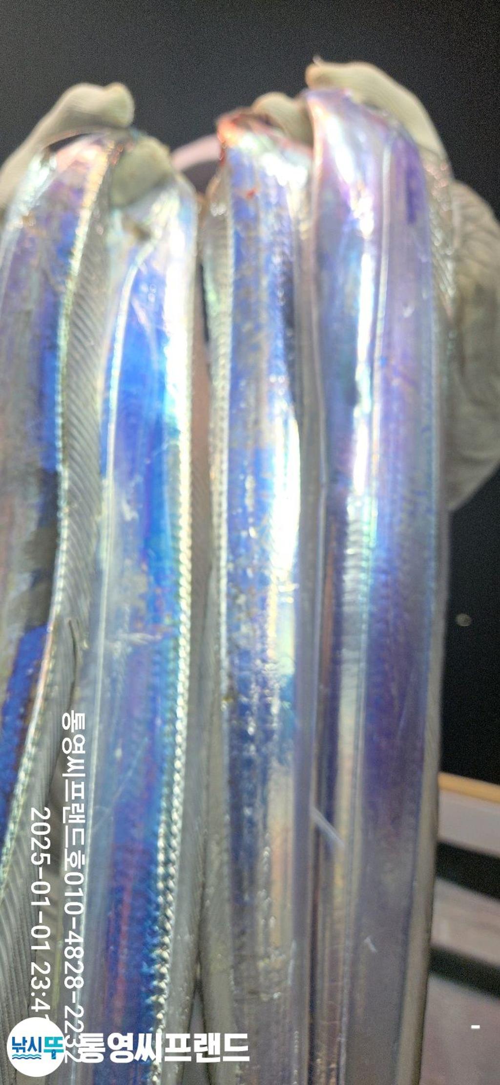 F2612526EP.jpg