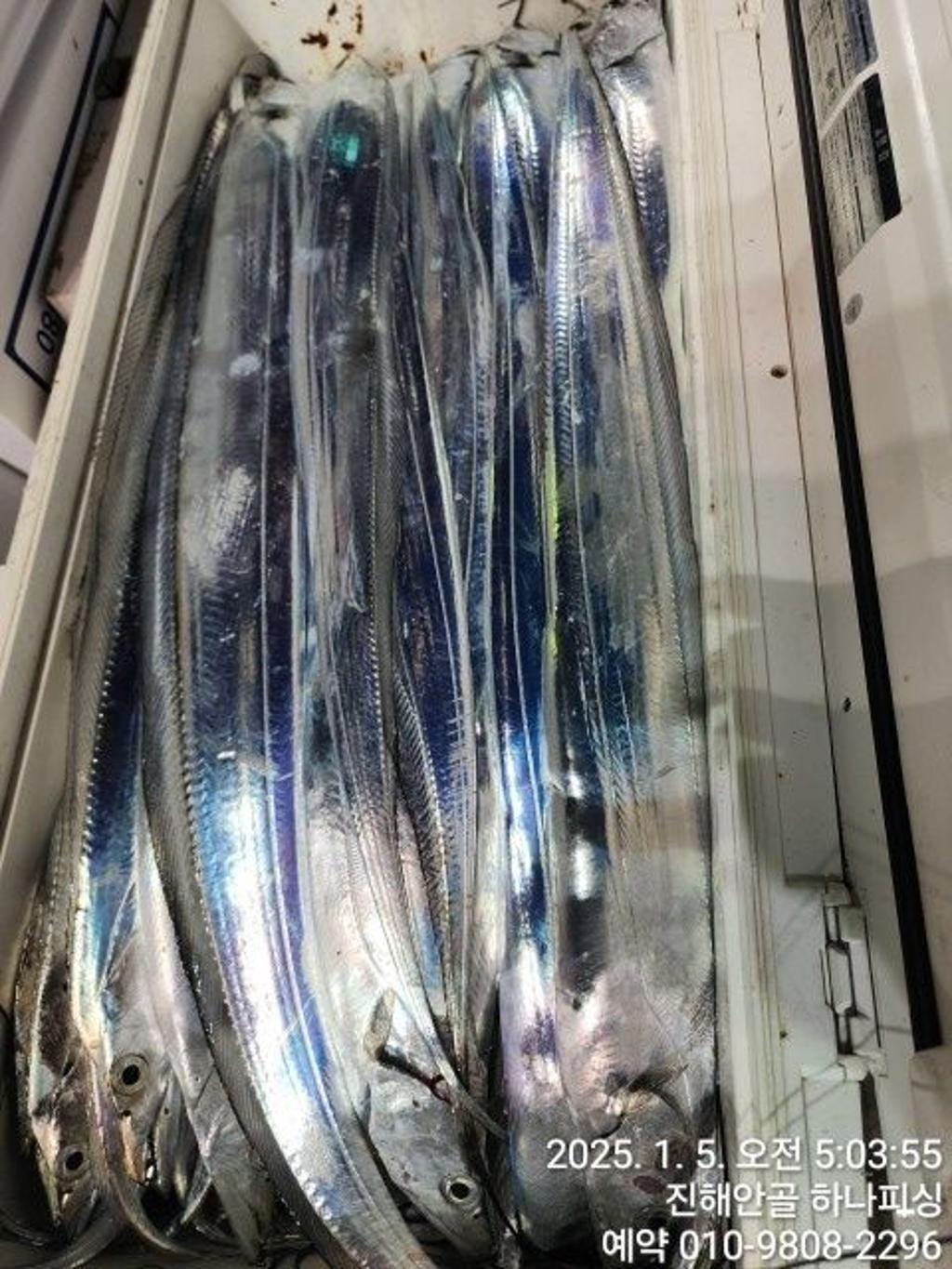 낚시뚜,갈치,오징어,진해 안골항,진해 하나피싱,낚시뚜13