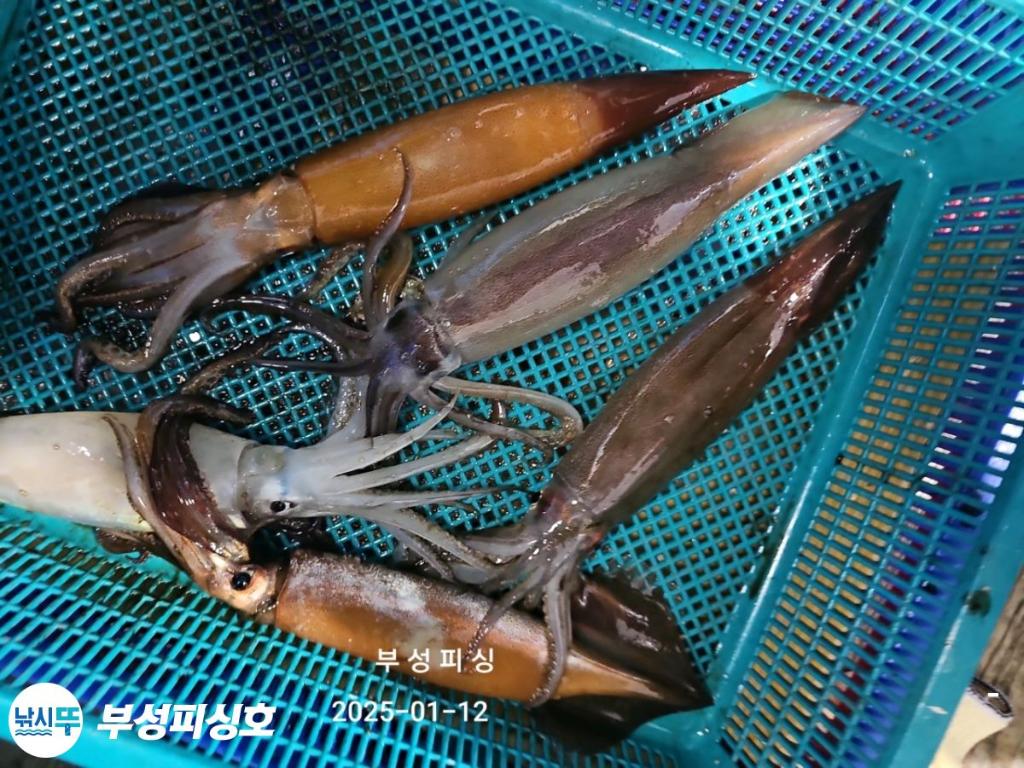 F2613013XA.jpg