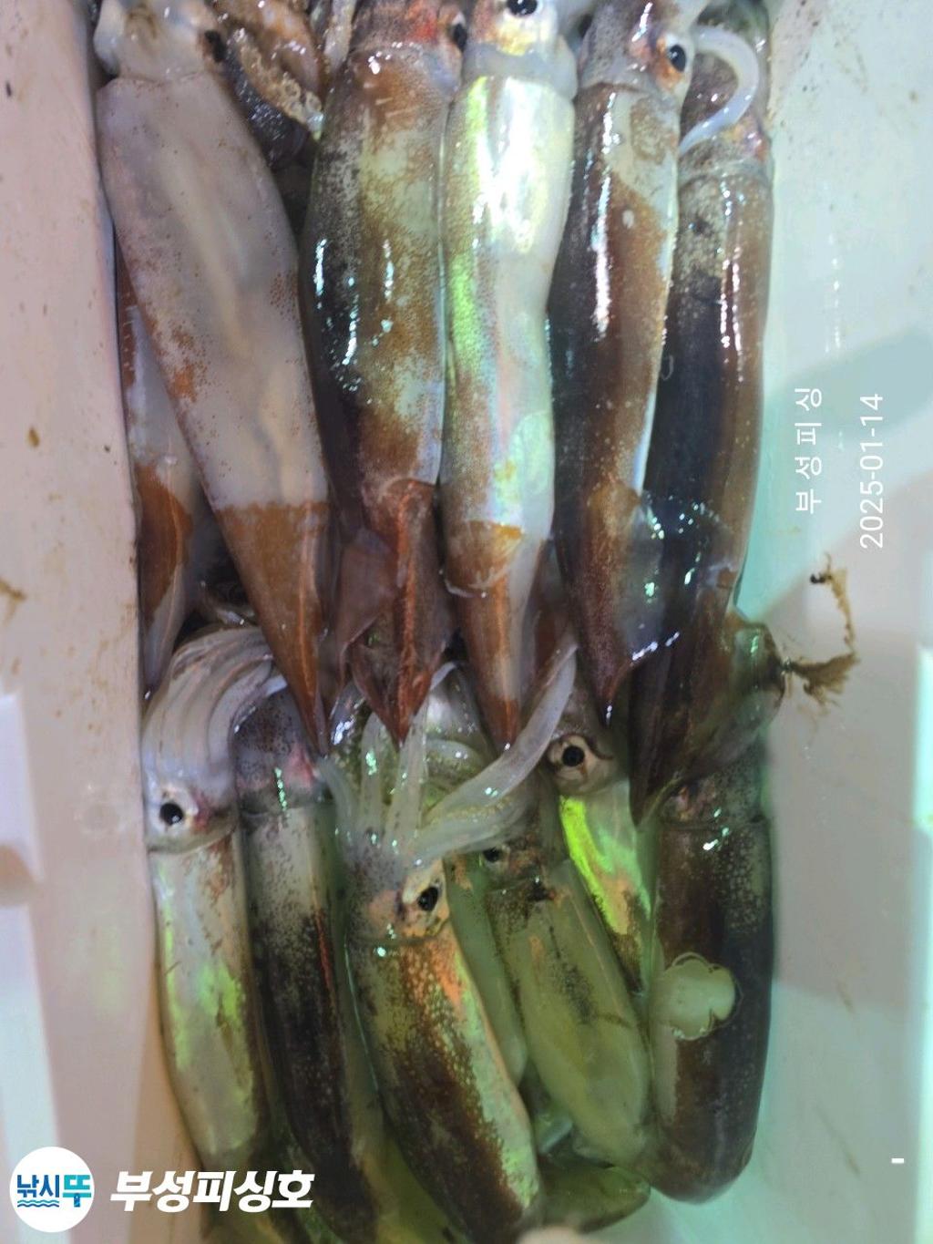 F2614209IG.jpg