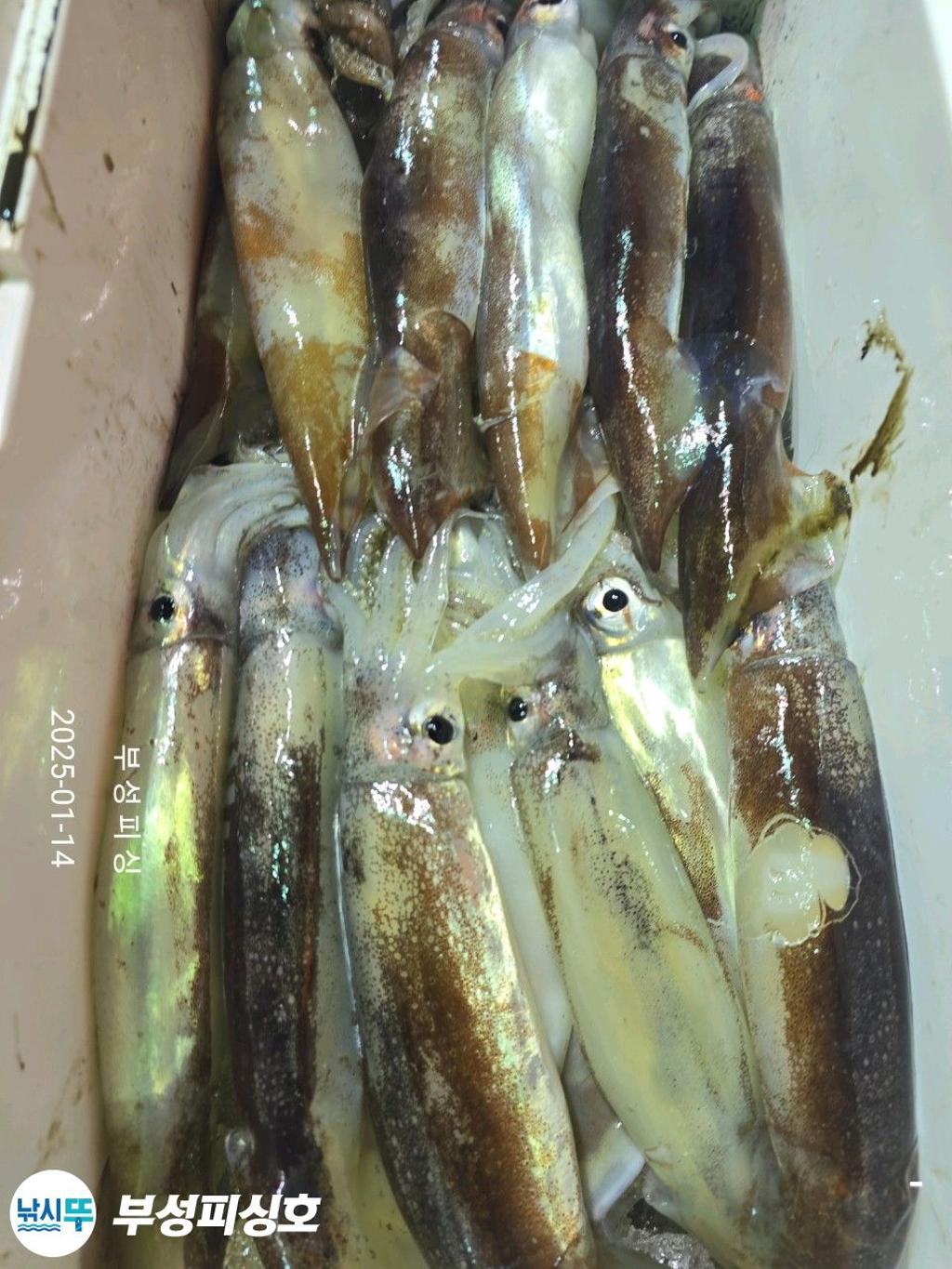 F2614212DU.jpg